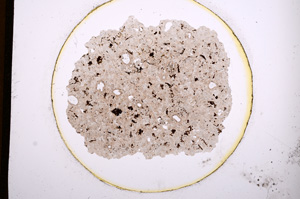 Plane Polarized, E841