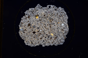 Cross Polarized, E841