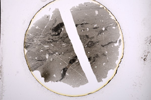 Plane Polarized, E843