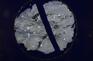 Cross Polarized, E843