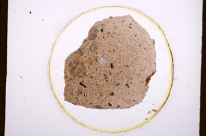 Plane Polarized, E867