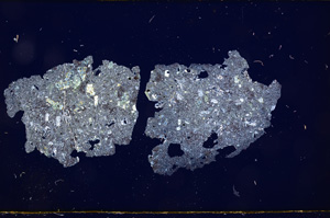 Cross Polarized, E882