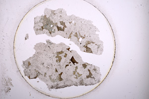 Plane Polarized, E887