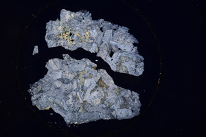 Cross Polarized, E887