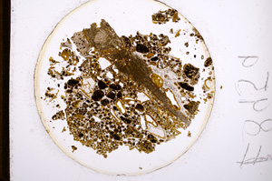 Plane Polarized, E895/A