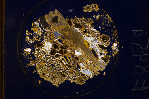 Cross Polarized, E895/A