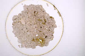 Plane Polarized, E904