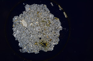 Cross Polarized, E904