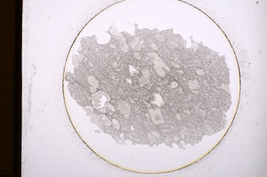 Plane Polarized, E906