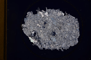 Cross Polarized, E906