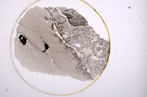 Plane Polarized, E913