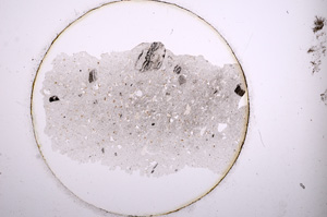 Plane Polarized, E915