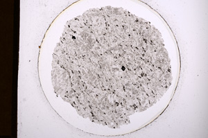 Plane Polarized, E918