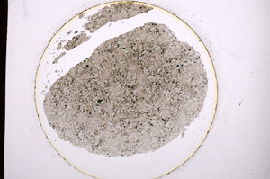 Plane Polarized, E929