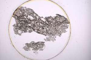 Plane Polarized, E931