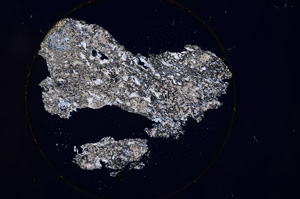 Cross Polarized, E931