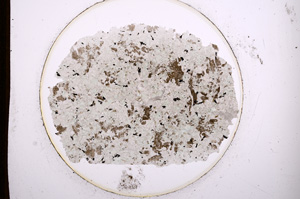 Plane Polarized, E932