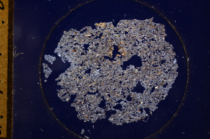 Cross Polarized, E944