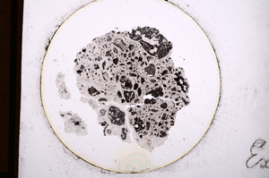 Plane Polarized, E952