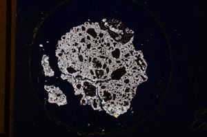 Cross Polarized, E952