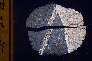 Cross Polarized, E954