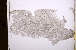 Plane Polarized, E1023