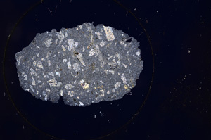 Cross Polarized, E1111