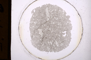 Plane Polarized, E1113