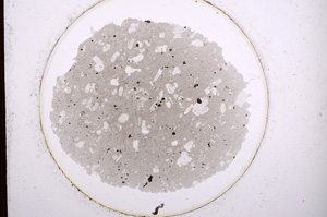 Plane Polarized, E1154