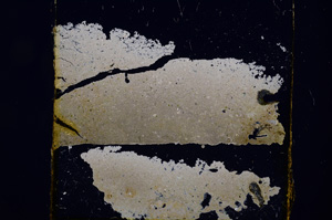 Cross Polarized, E1166