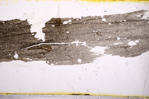Plane Polarized, E1167