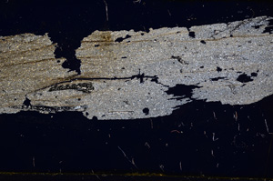 Cross Polarized, E1167