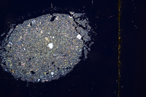 Cross Polarized, E1188