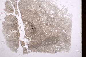 Plane Polarized, E1189