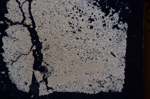 Cross Polarized, E1189