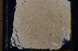 Cross Polarized, E1189/A