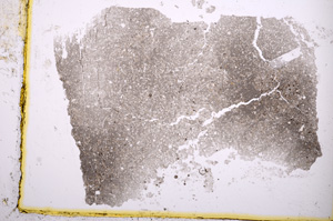 Plane Polarized, E1189/C