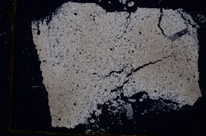 Cross Polarized, E1189/C