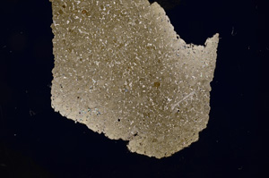 Cross Polarized, E1200