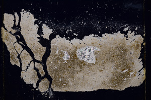 Cross Polarized, E1202