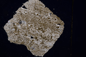 Cross Polarized, E1206