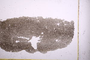 Plane Polarized, E1227