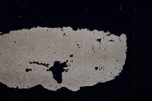 Cross Polarized, E1227