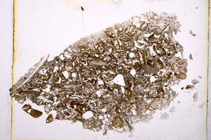 Plane Polarized, E1232