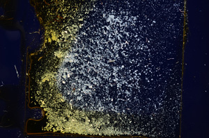 Cross Polarized, E1242/A