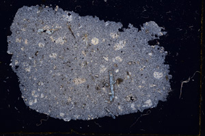 Cross Polarized, E2431