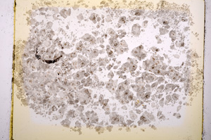 Plane Polarized, E2438A