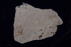 Cross Polarized, E2449