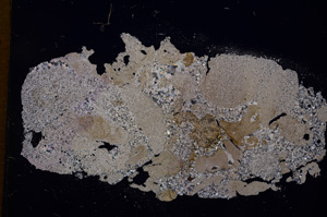 Cross Polarized, E2451