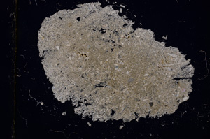 Cross Polarized, E2452